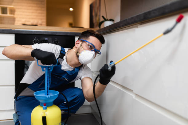  Forest Park, IL Pest Control Pros