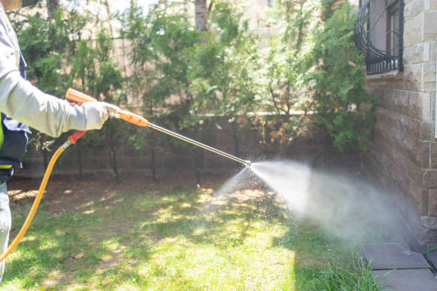 Best Local Pest Control Services  in Forest Park, IL