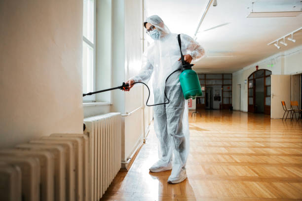 Best Exterminator Services  in Forest Park, IL