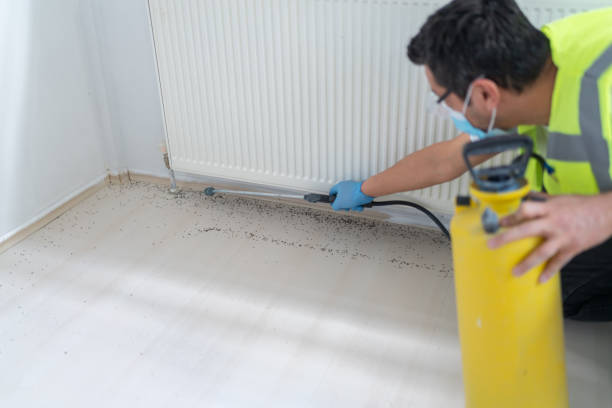 Best Bed Bug Extermination  in Forest Park, IL