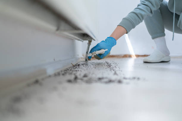 Best Best Pest Control Companies  in Forest Park, IL